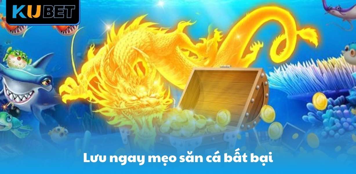 Lưu ngay mẹo săn cá bất bại