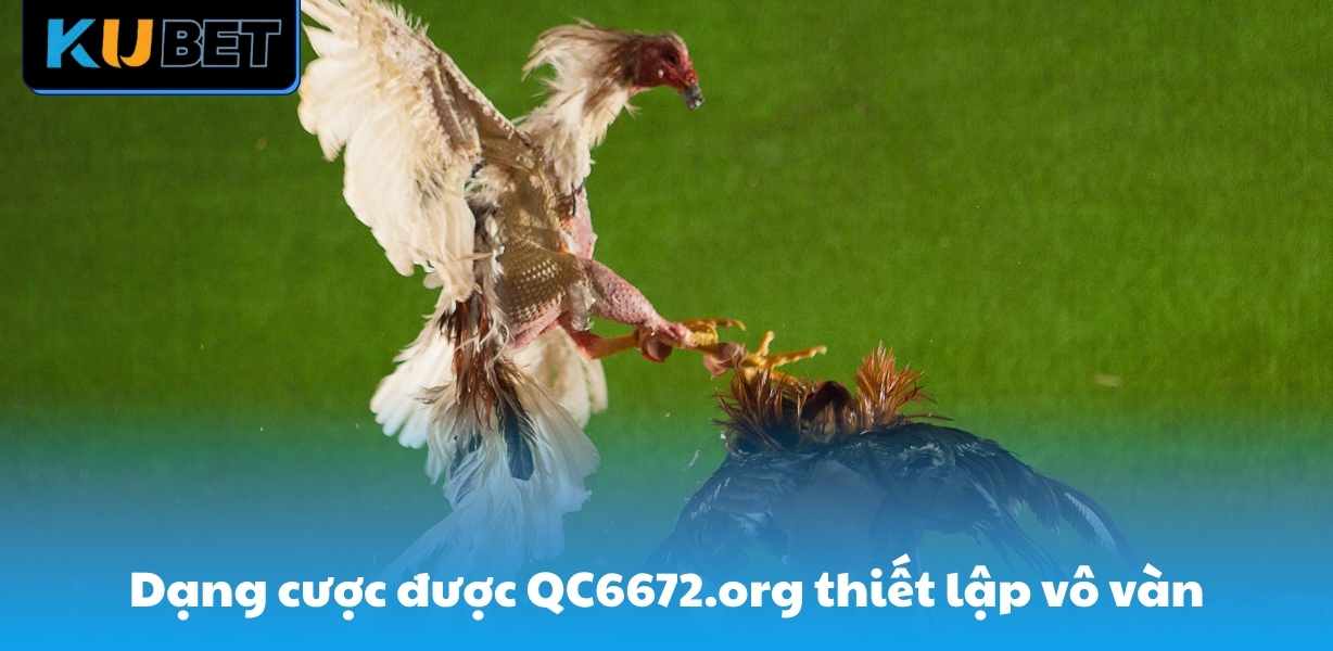 Dạng cược được QC6672.org thiết lập vô vàn
