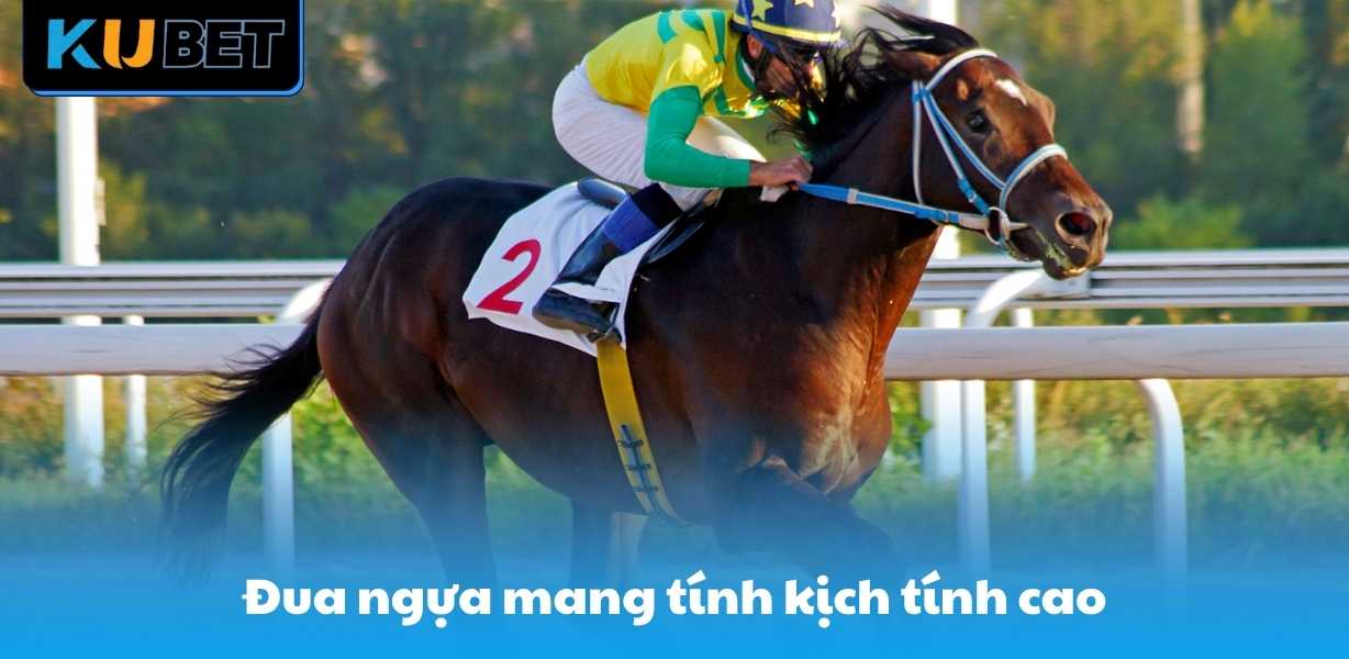 Đua ngựa mang tính kịch tính cao