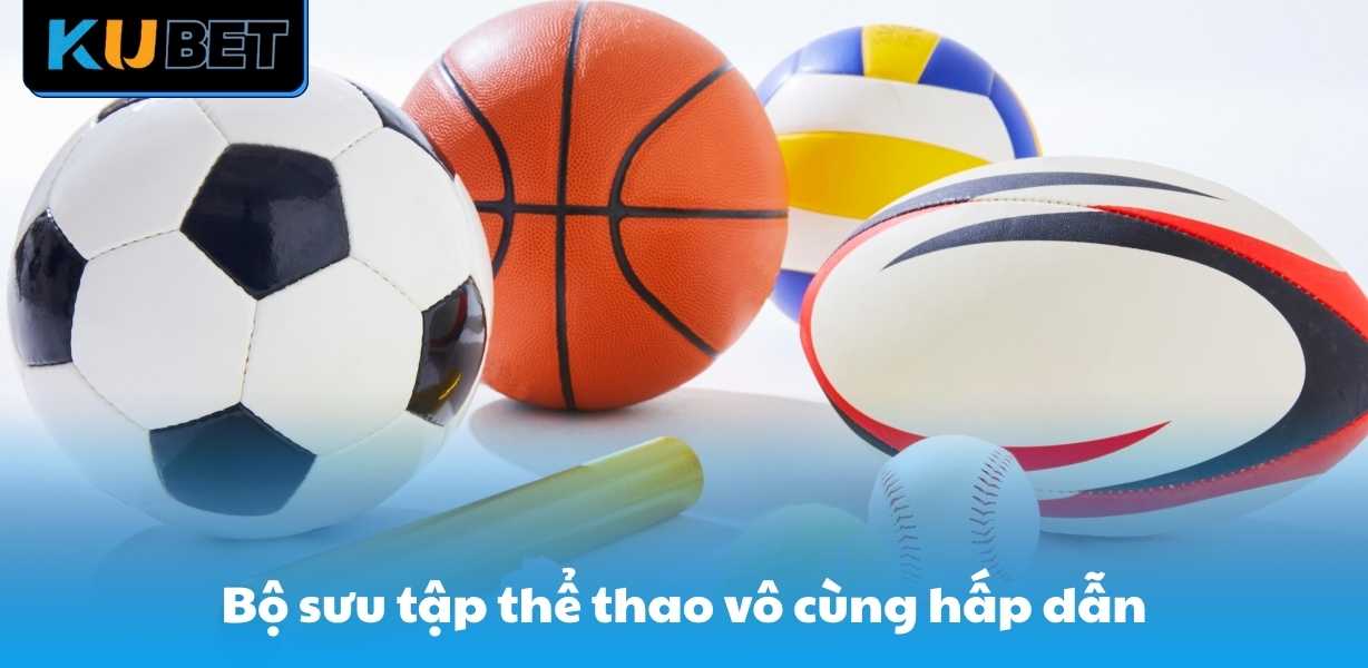 Bộ sưu tập thể thao vô cùng hấp dẫn